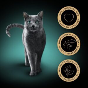 Sheba Sauce Lover Cat Food Trays Mixed Collection 32x85g - Image 2